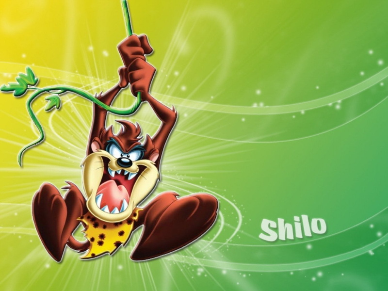 human representation, holding, full length, outdoors, one person, western script, Tasmanian Devil (Looney Tunes), green color, communication, TV Show, text