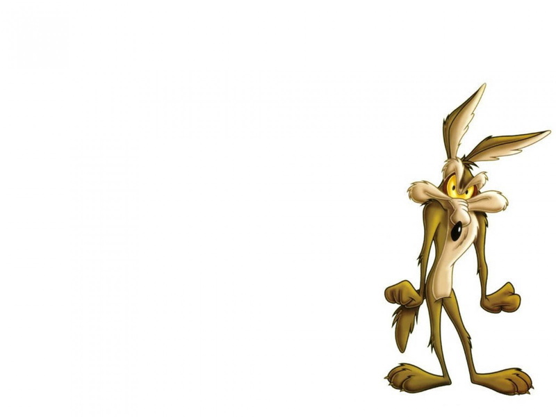 720P, wile e coyote