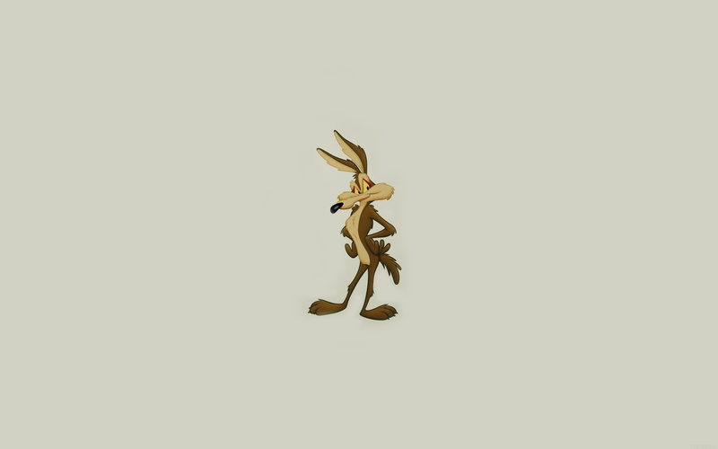 arachnid, insect, plant part, 4K, cut out, copy space, indoors, arthropod, illust, road, one animal, animal leg, runner, close-up, white background, zoology