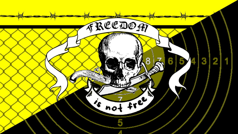 libertarianism, dom, capitalism, skull, Pirate Flag, bones, black, Guns and Men, 1080P, Anarchy, Private Property, ANCAP, liberty, yellow