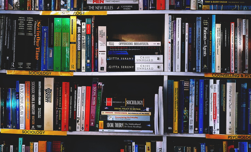abundance, education, book, literature, sunlight, bookshelves, in a row, bookshelf, variation, shelf, choice, still life, publication, bookshop, indoors