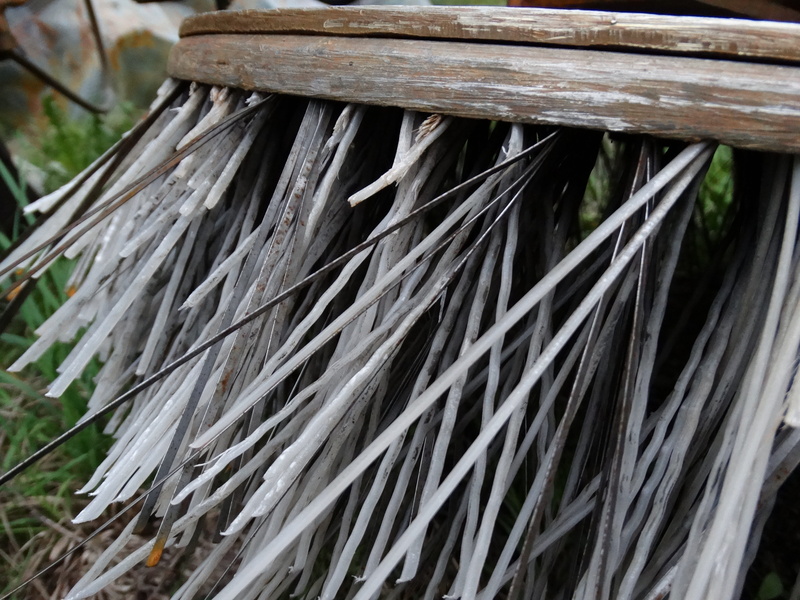 close-up, pattern, outdoors, plant part, selective focus, day, nature, metal, street care, beauty in nature, tranquility, 5K, steel, plant, palm leaf