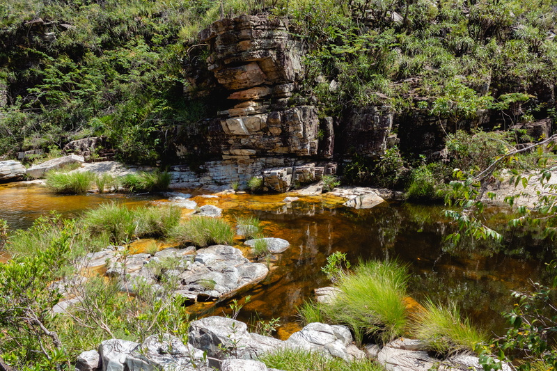rubble, marsh, wilderness, scenics - nature, slate, creek, non-urban scene, nature, forest, bog, beauty in nature, 4K, river, tranquility, cliff, swamp