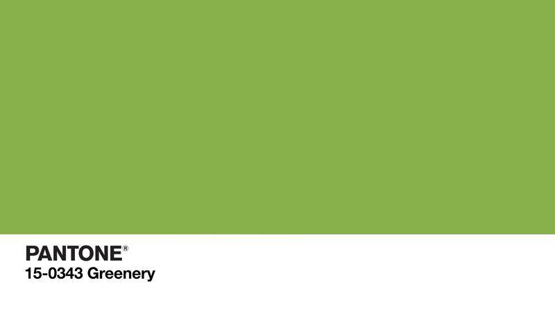 message, billboard, Green, empty, education, communication, close-up, Simple, 4K, blank, abstract, backgrounds, no people, white color, color Codes, logo