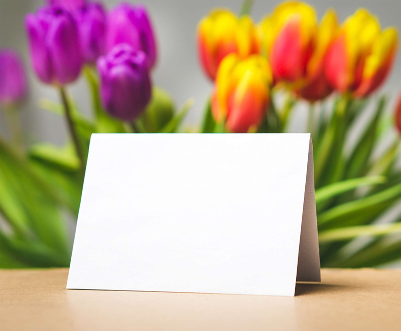 colourful, greeting card, close-up, note - message, spring, no people, leaves, flowers, bouquet, note pad, springtime, beautiful, celebration, copy space