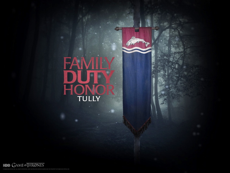 sigils, House Tully, Game of Thrones, dark, indoors, white color, red, night, text, blackboard, message, sign, close-up, information, black background