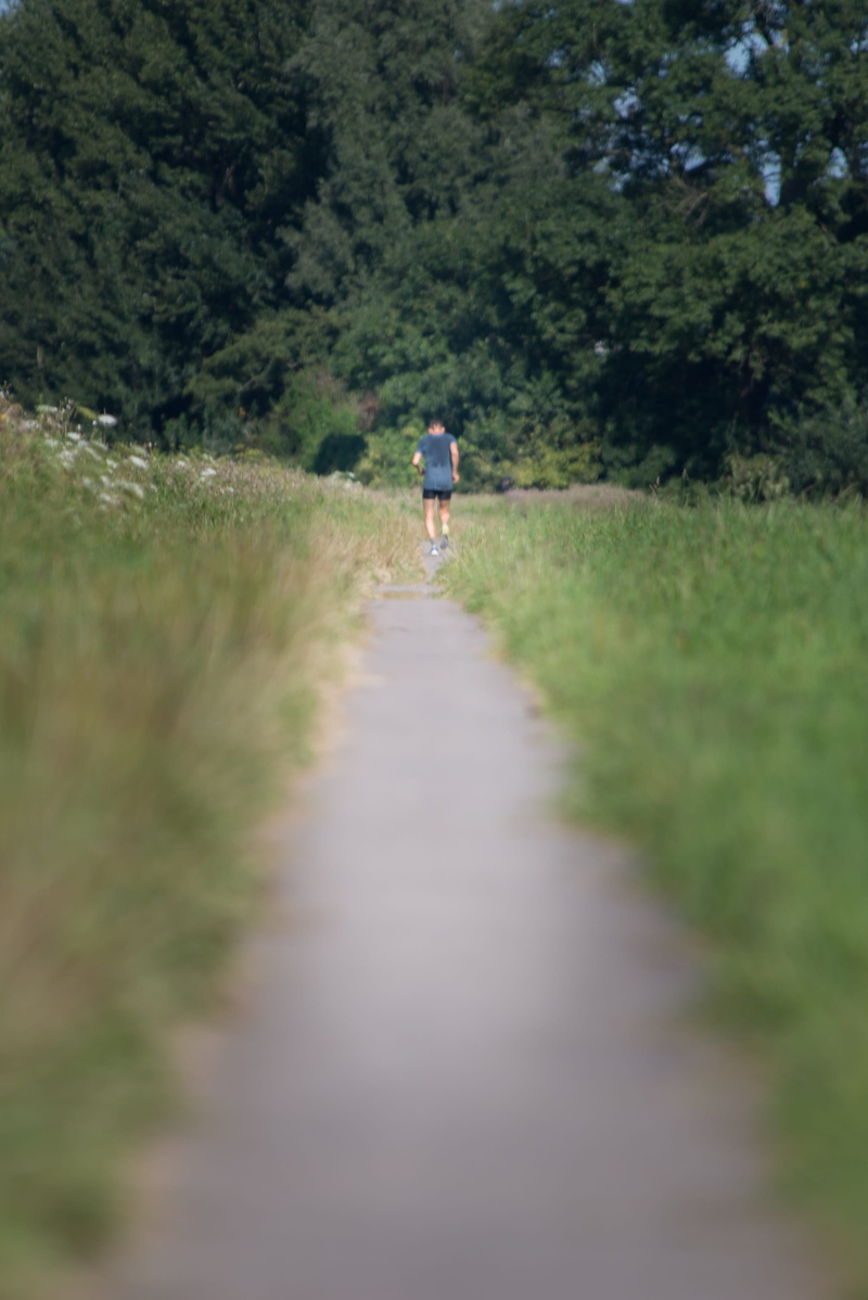 one person, fitness, nature, plant, green color, healthcare, condition, outside, footpath, 2K, workout, training, fit, exercise, living, growth, park