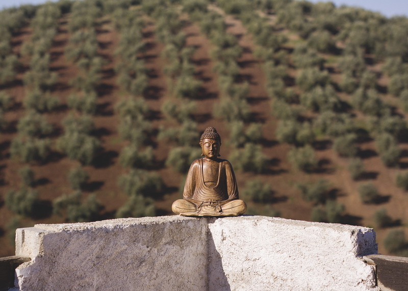 spirituality, stone, built structure, positive, the past, 4K, outdoors, thinking, no people, belief, plant, focus on foreground, zen, budda, nature, solid