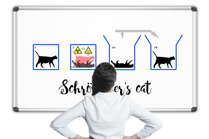 flat screen, move, device screen, woman, casual clothing, schrödinger, leisure activity, sitting, males, whiteboard, television set, lifestyles, professor