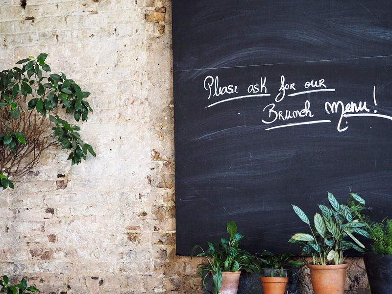 ask, pleas, handwriting, potted plant, beside, chalkboard, brick wall, sign, green, blackboard, green color, nature, cafe, flower pot, leaf, western script