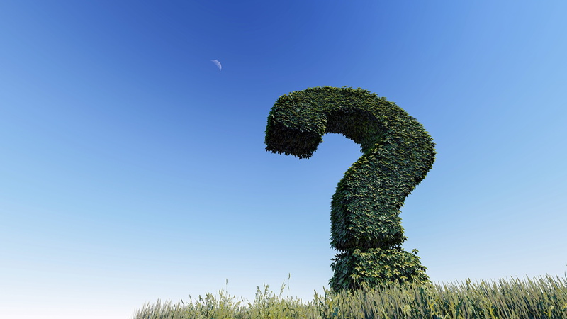 answer, text, sign, advice, choose, no people, tranquility, question, which, sunlight, help, mark, growth, nature, day, clear sky, outdoors, solution, plant