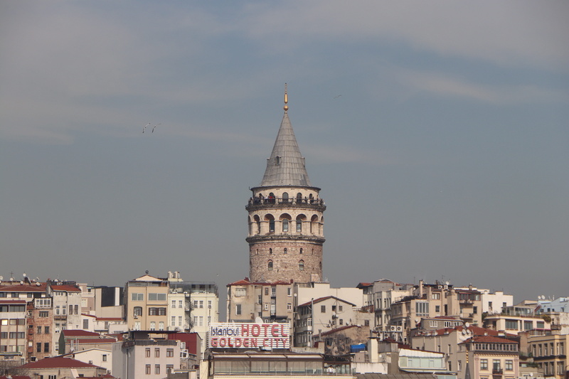 taksim, building, city, built structure, place of worship, beach, day, cityscape, marine, seagull, outdoors, date, building exterior, belief, religion