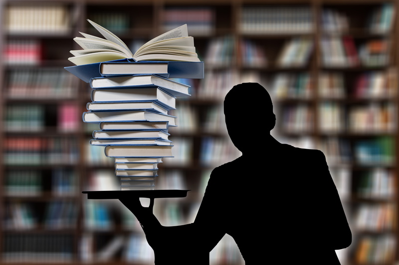 customer, 5K, rear view, company, teaching, coach, talents, education, director, concept, business, professor, schema, waist up, executive board, book