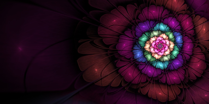 4K, Fractal, Fractal Flowers, Fibonacci Sequence, flowers, 4000x2000 px, Apophysis, Golden Ratio, mathematics, digital art