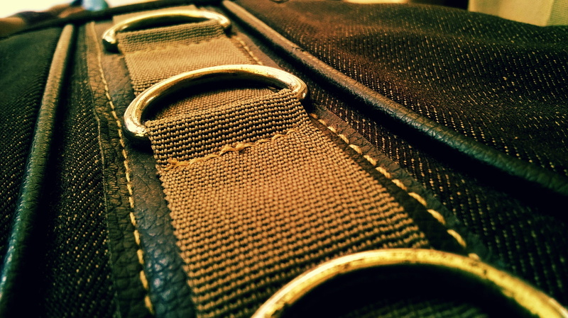 no people, close-up, education, smile, children, protection, leather, zipper, clothing, bag, textile, personal accessory, back, selective focus, person