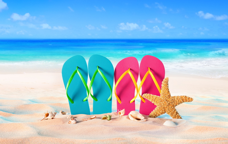 slates, sand, beach, sea, 5K, starfish, vacation, summer, shell, stay, seashells
