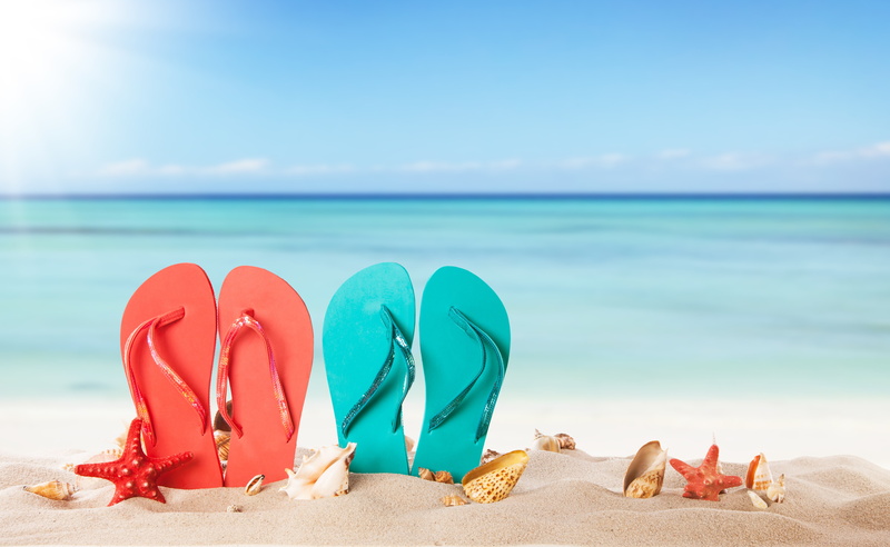5K, sea, slates, seashells, beach, shell, sand, vacation, summer, starfish, the sun