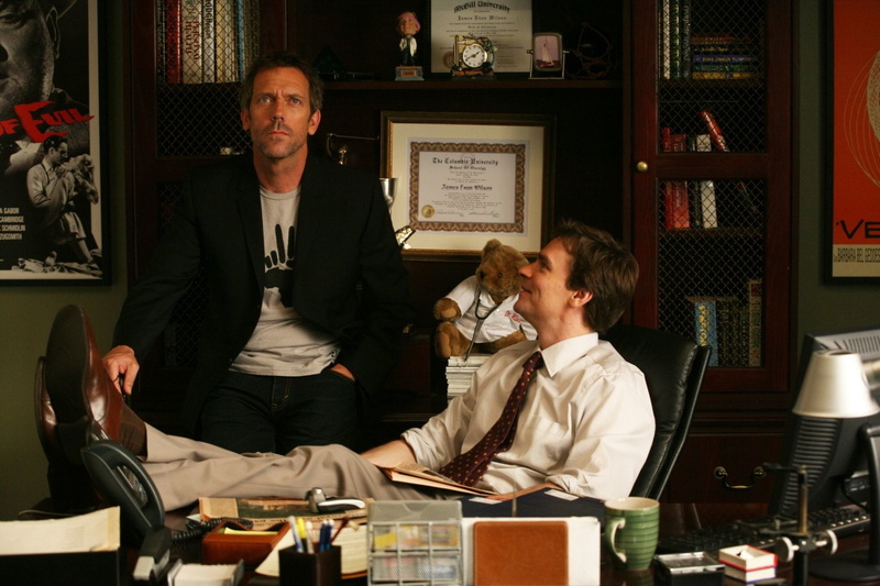 Gregory House, TV Show, Hugh Laurie, House, James Wilson, Robert Sean Leonard, 1080P