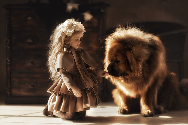 girl, friends, dog, 1080P, a great friend, Tibetan Mastiff, Valeriya Mytnik