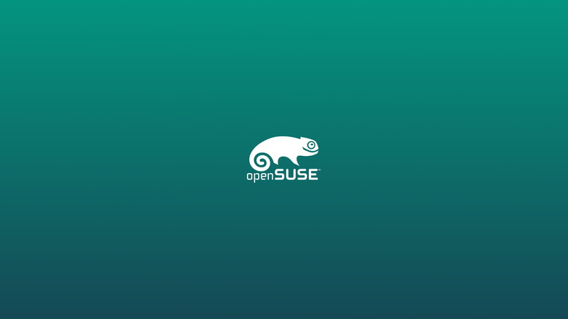 internet, colored background, cut out, creativity, copy space, close-up, communication, technology, openSUSE, gecko, green color, white color, computer icon