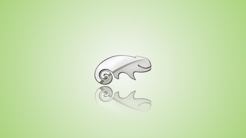 logo, opensuse, silver, 1080P, chameleon, linux