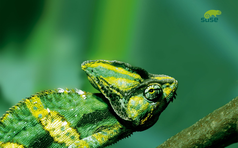 Linux, 1080P, Suse Linux, openSUSE