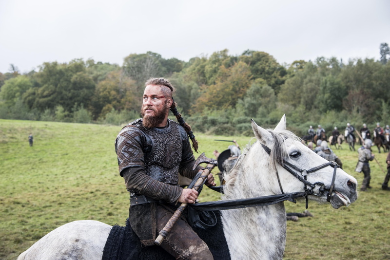 domestic, livestock, horse, portrait, riding, one animal, domestic animals, facial hair, pets, plant, vikings 4k best high resolution, mammal, herbivorous
