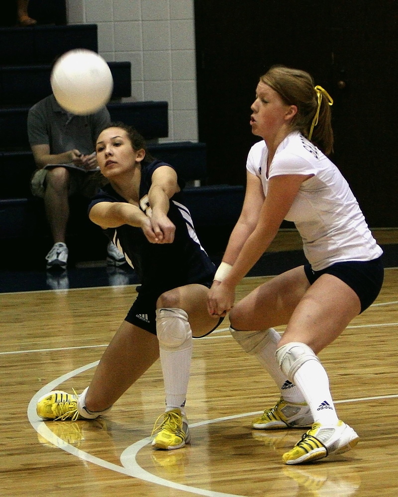 young adult, basketball player, competitor, Players, wood, healthy lifestyle, exercising, game, gym, play, young women, Volleyball, playing, leisure activity