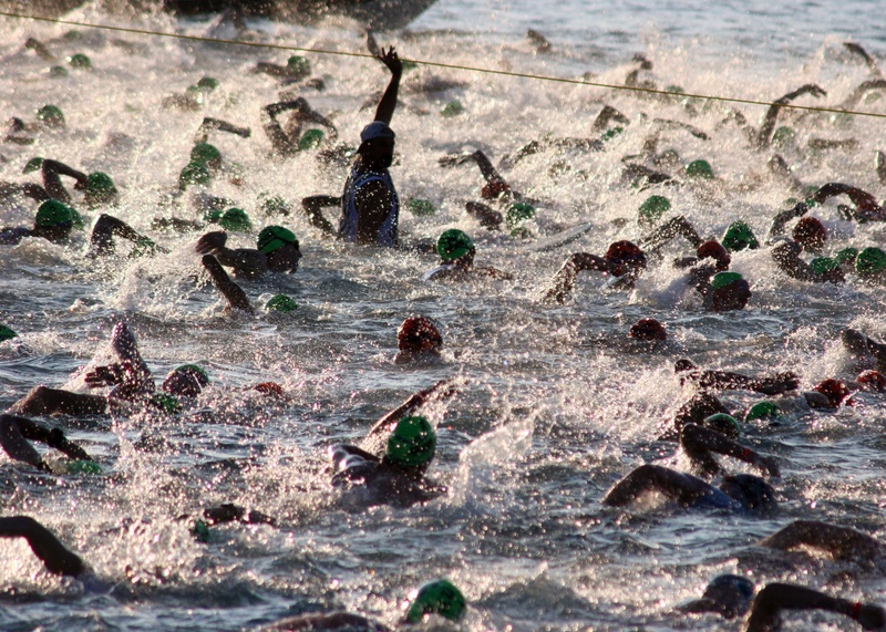nature, sport, rock - object, outdoors, race, selective focus, swimming start, rock, animal wildlife, large group of animals, open water, competitors, swimming