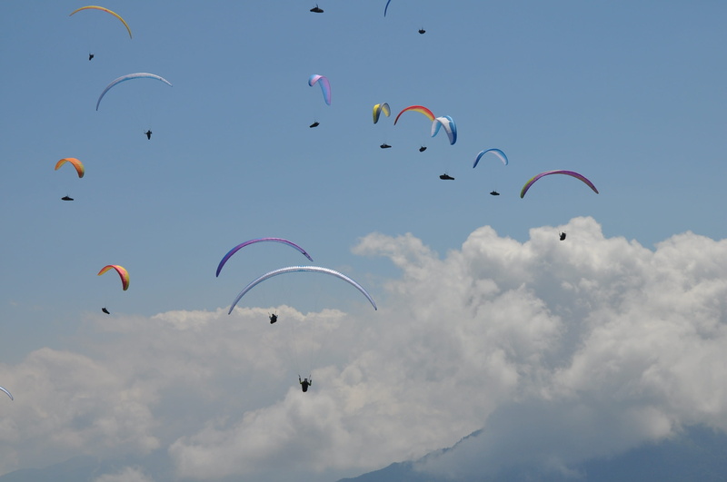 cloud - sky, vertebrate, fly, animal, outdoors, flight, action, parachute, competitor, 2K, pilot, competition, outdoor, leisure activity, animal themes