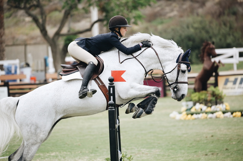 mammal, stallion, domestic, outdoors, riding, woman, adult, pets, action, livestock, horse rider, mare, helmet, focus on foreground, rider, horse, competition