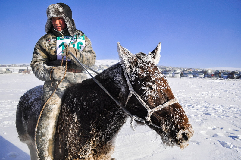 clothing, saddle, horse, domestic, horse race, winter, finish line, boy, cold, horseback, day, one person, snow, animal wildlife, outdoors, livestock, mongolia