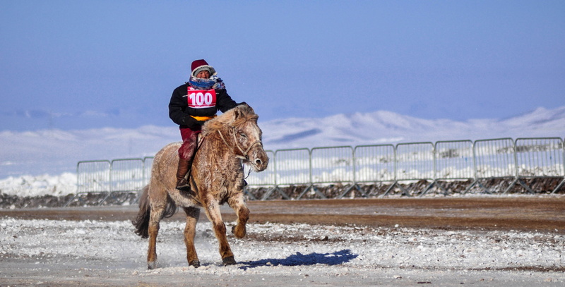 domestic, cold temperature, nature, one person, horse, horse race, boy, pets, clothing, mammal, finish line, domestic animals, sport, cold, warm clothing