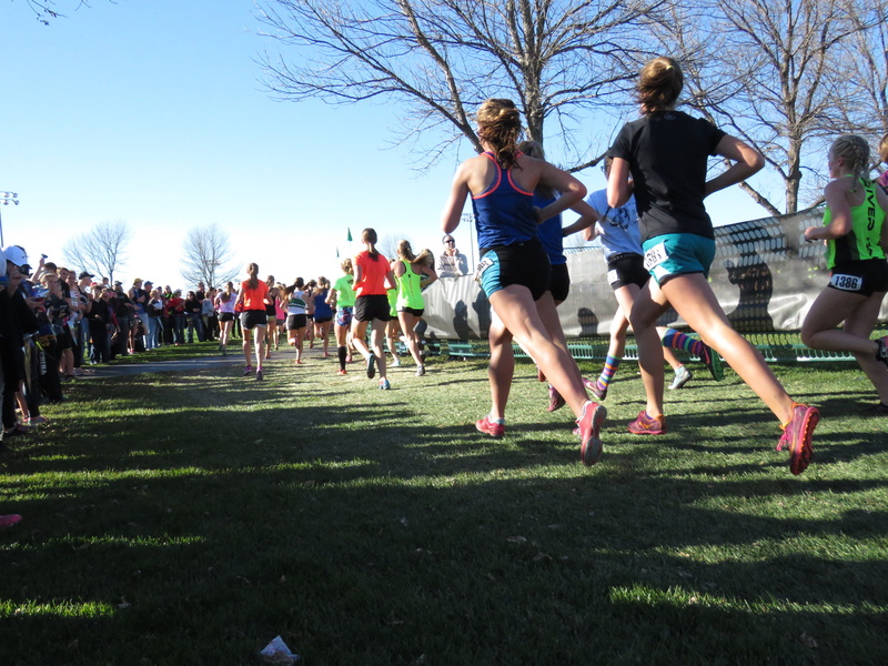 motion, race, vitality, men, real people, marathon, athlete, effort, outdoors, Cross-Country, nature, finish line, large group of people, exercise, grass