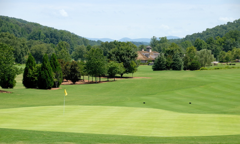 no people, golf swing, grass, outdoors, summer, competition, leisure, course, growth, golfer, ball, golfing, play, beauty in nature, tree, equipment, plant
