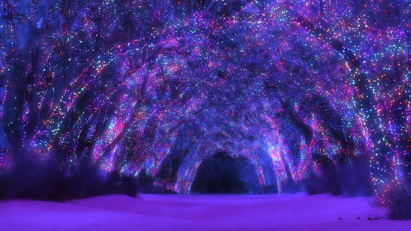 nature, direction, purple, outdoors, cold temperature, beauty in nature, download nature  pack 2560x1440, plant, star - space, snow, no people, winter