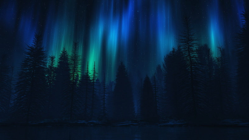 scenics - nature, woodland, tree, winter, pine tree, green color, nature, cold temperature, download nature  pack 2560x1440, luminosity, 2K, tranquil scene