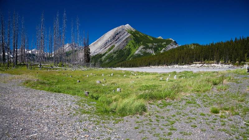 download nature  pack 2560x1440, 2K