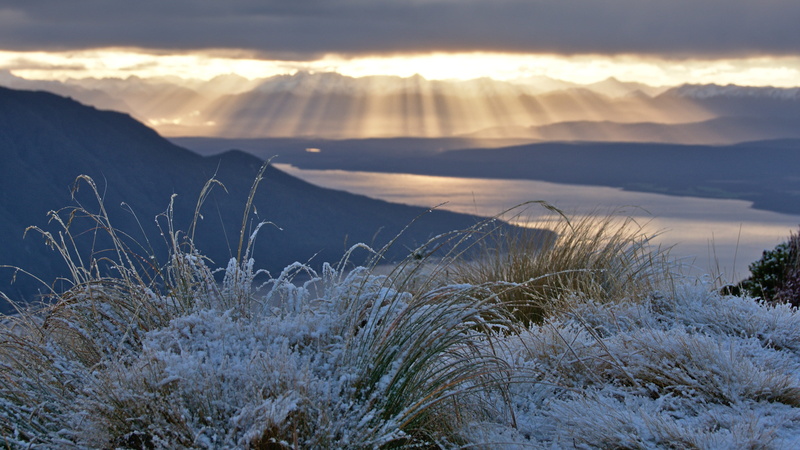 clouds, grass, sunlight, warm, lake te anau, scenery, ice, tranquil scene, cold, mountain, marram grass, frost, mountains, sky, plant, sun, 6 kepler track