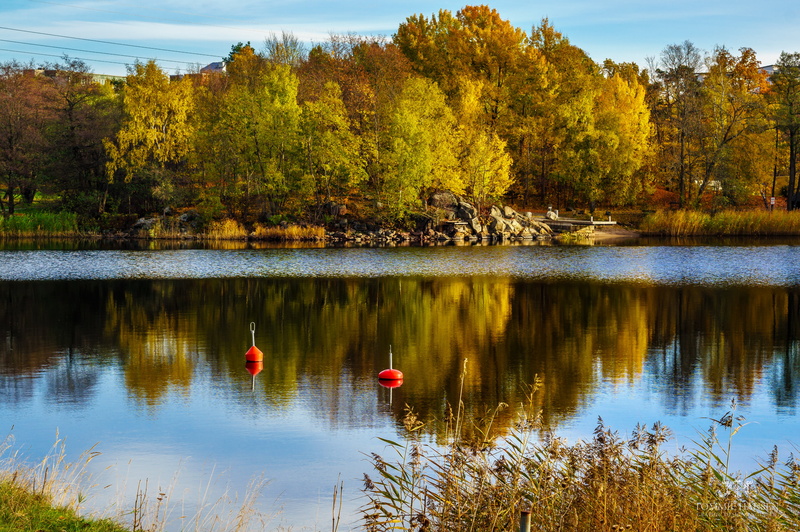 Ulriksdal, Sweden, Landscape, Danderyd, Nature, green, reflection, water, lake, autumn, Sony, 4K, Stockholm County, yellow, Colorful, Fall, Waters, Tree