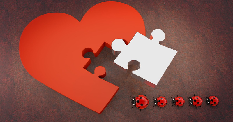 cutout, teamwork, red, studio shot, separation, togetherness, 2K, shaped, lucky ladybug, missing, emotion, close-up, good bye, creativity, heart, memory cards covered with
