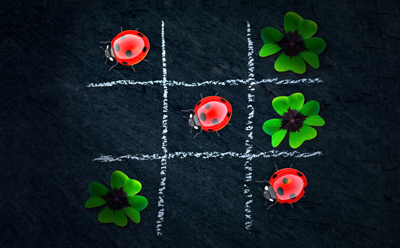 three wins, high angle view, beauty in nature, tic tac toe, flowering plant, plant part, creativity, flowers, leaf, beetle, nature, puzzle, board, food and drink