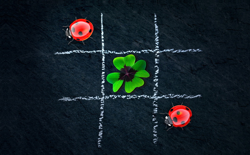 freshness, four leaf clover, leaf, beauty in nature, directly above, lucky ladybug, red, indoors, flower head, text, plant part, flowering plant, growth
