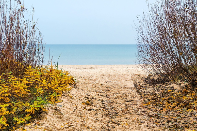 tree, blue, clear sky, path, quiet, idea, escape, plant, dom, success, landscape, journey, nobody, near, blue sky, bare trees, trees, horizon over water