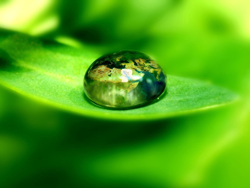 large, environmental Conservation, planet - Space, purity, backgrounds, environment, shiny, raindrop, extreme close-up, luxury, close-up, summer, color Image