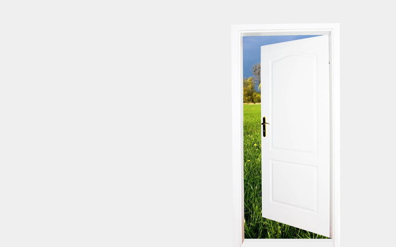 open, white color, grass, doorway, handle, entrance, output, white, panel, door, nature, wooden, 2K, built structure, window, house, building, plant, summer