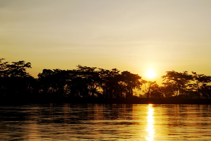 dawn, body, river, trees, lake, tree, idyllic, hour, horizon, beauty in nature, golden, nature, shore, sunlight, landscapes, tranquil scene, waterfront