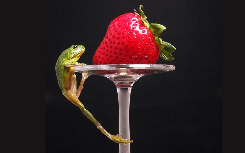 strawberry, cute, 1080P, 3d and abstract, prize, frog, climbing