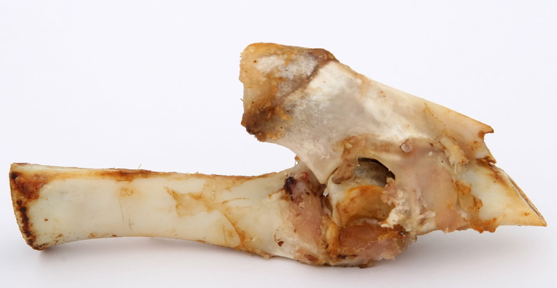 chewable, chicken, no people, studio shot, prize, healthy, close, copy space, treat, health, Gristle, fetch, indoors, wellbeing, meaty, canine, snack, food