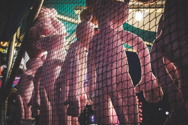 pink panther, shadow, no people, nature, sunlight, toys, pink, security, standing, protection, 4K, built structure, pattern, carnival, carnival games